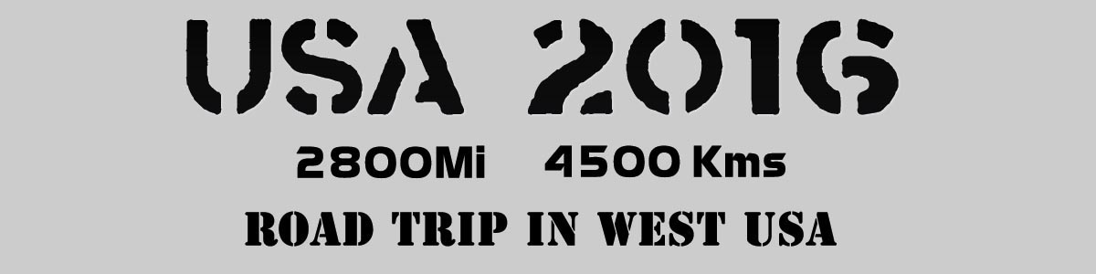 Logo Tshirt USA back 2