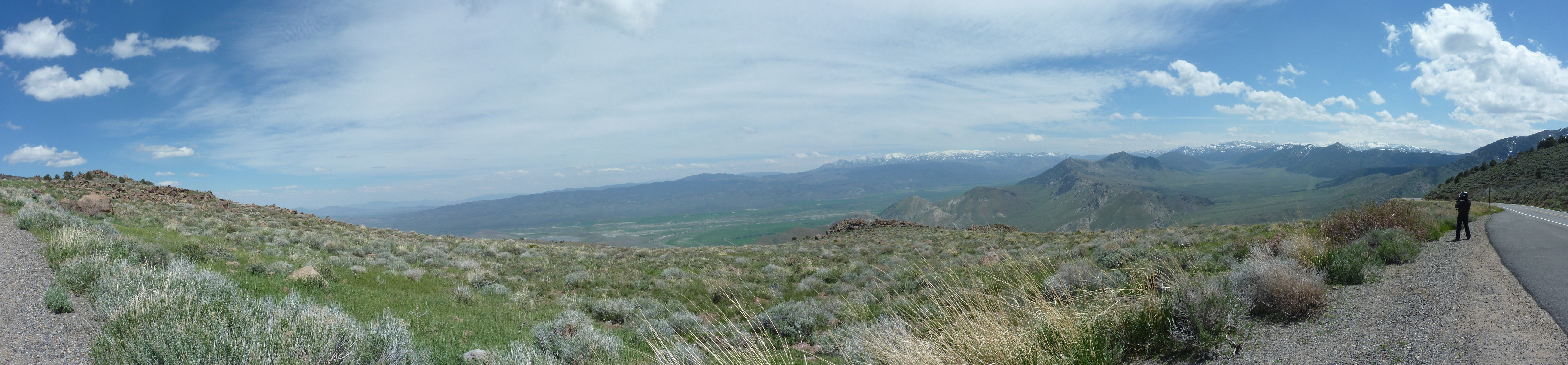 Toiyabe National Forest
