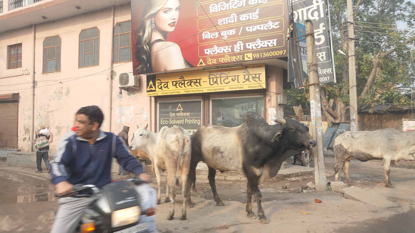 Scènes de la vie quotidienne sur la route Image
