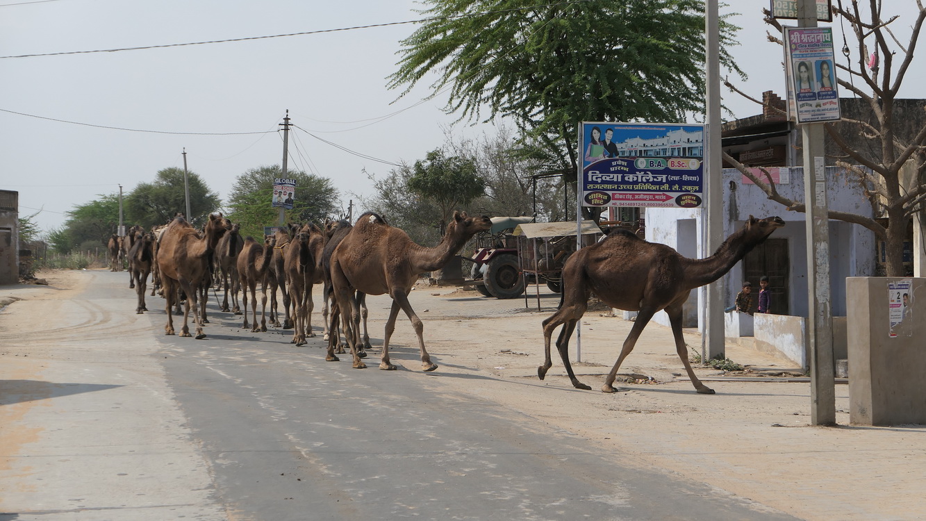 Vie quotidienne d'un village Jour 3