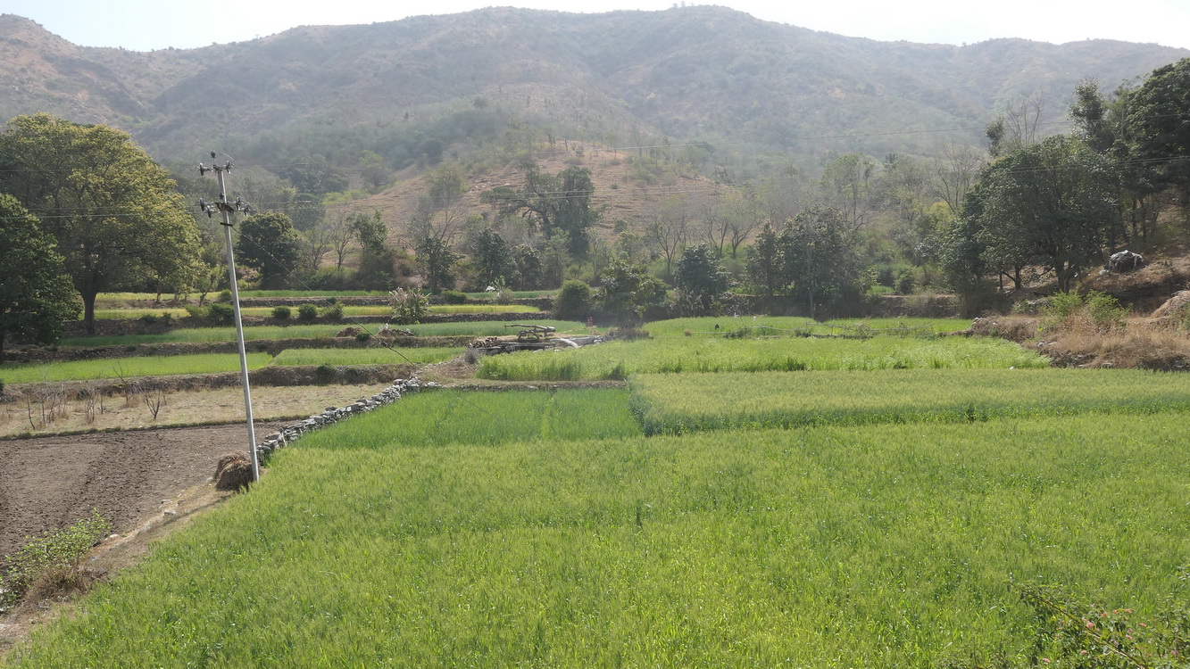 Paysages Jour 6 - Udaipur