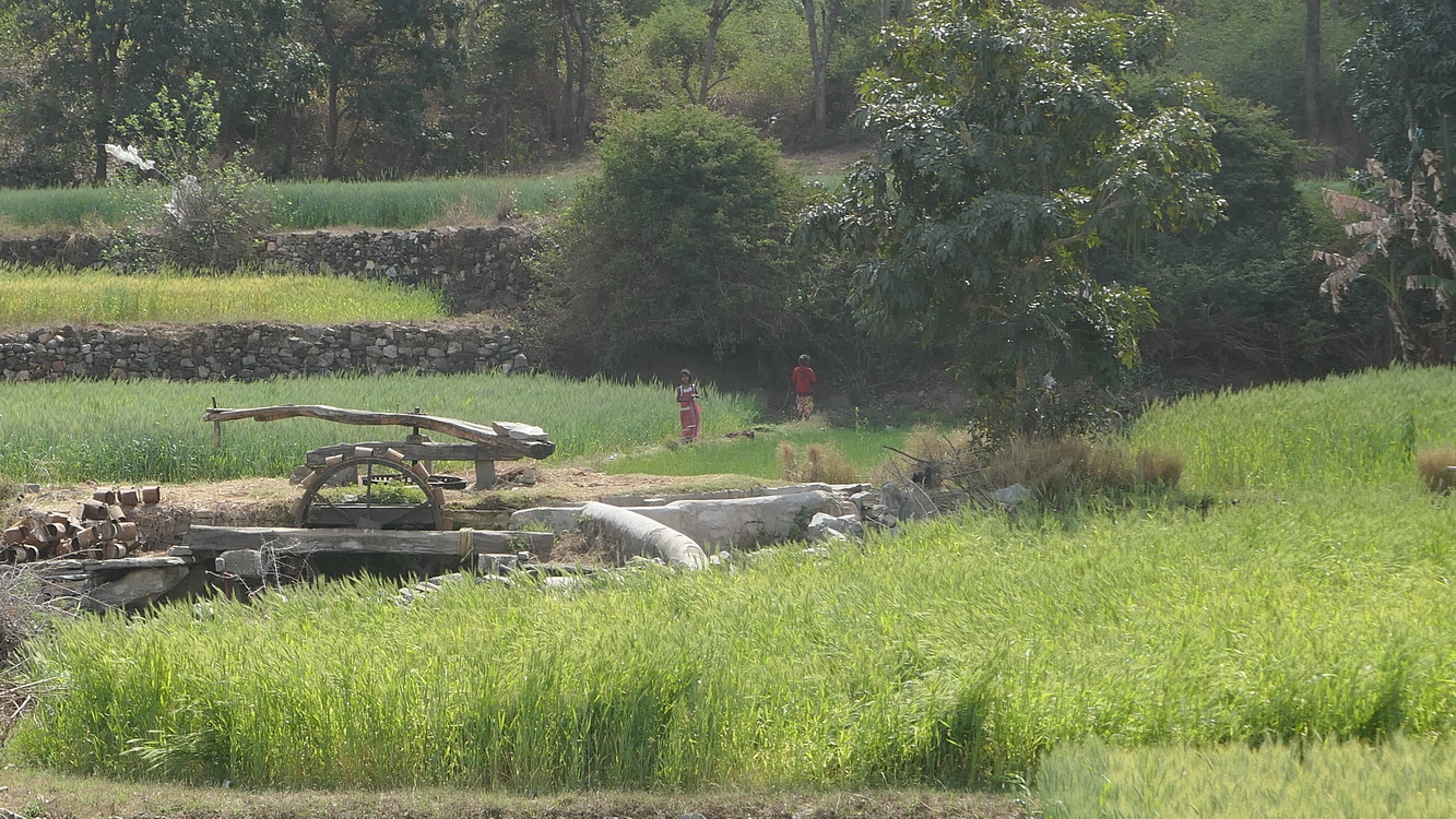 Paysages Jour 6 - Udaipur