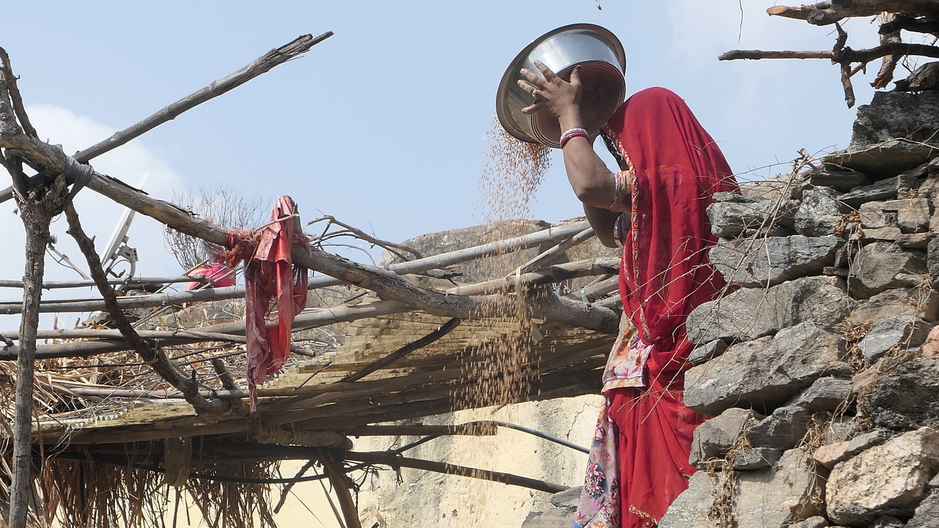 Pris sur le vif Jour 6 - Udaipur