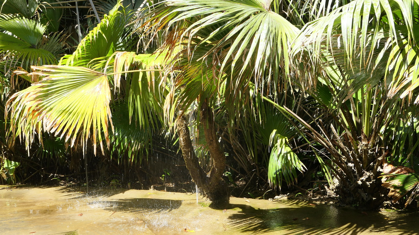 Le jardin des femmes Udaipur