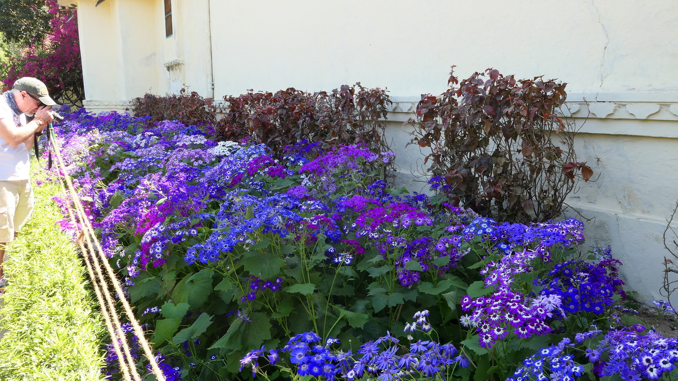 Le jardin des femmes Udaipur