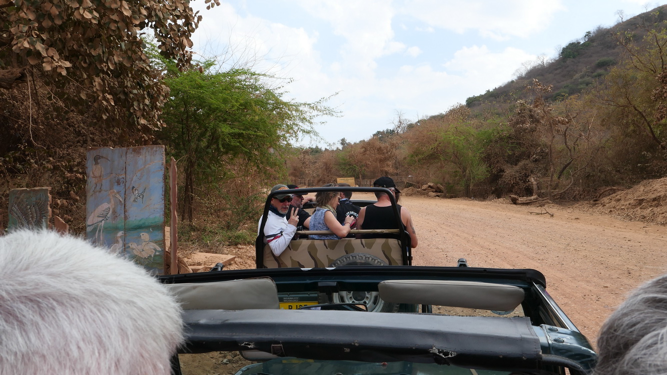 Le safari Holi in Rajasthan