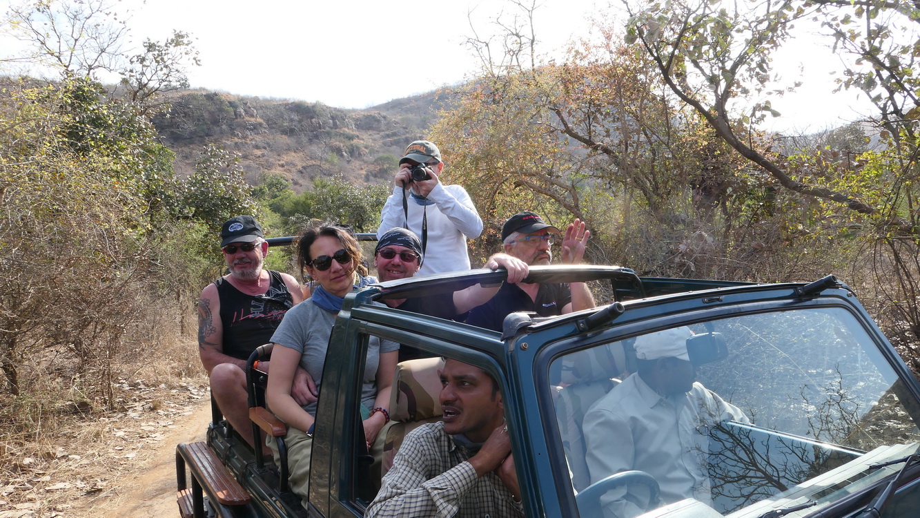 Le safari Holi in Rajasthan