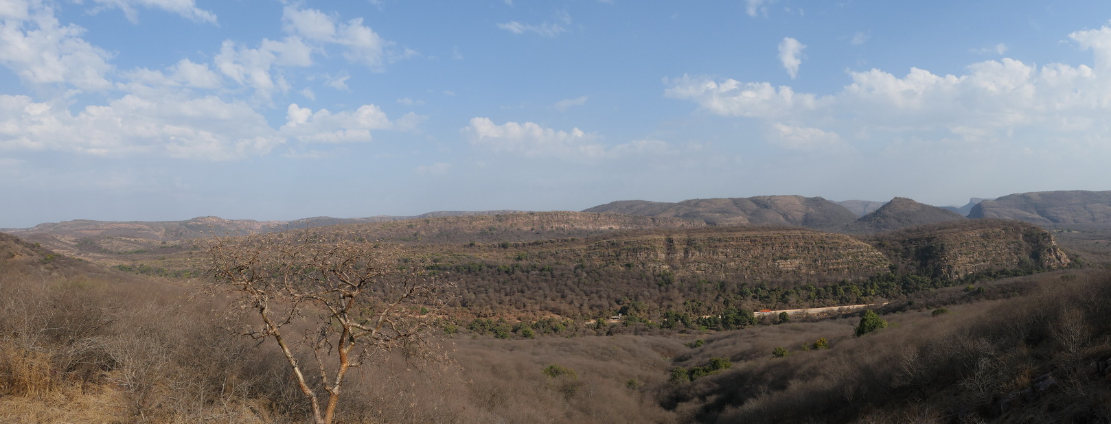 Le safari Holi in Rajasthan