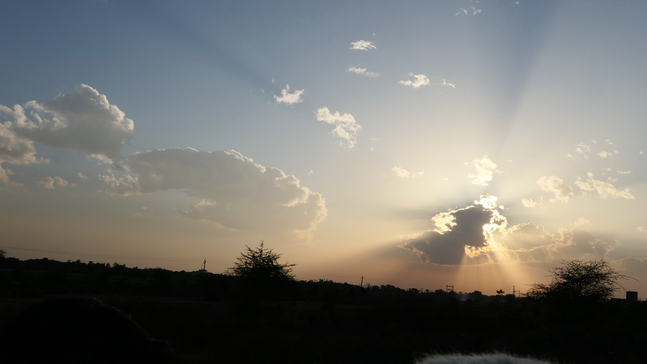 Le safari Holi in Rajasthan